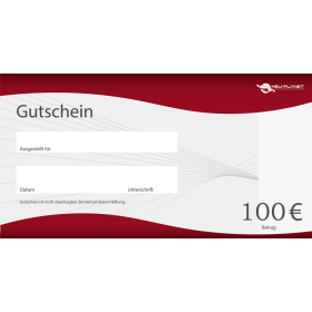 Geschenk Gutschein für RC Helikopter Flugschulungen Wert 100 EUR